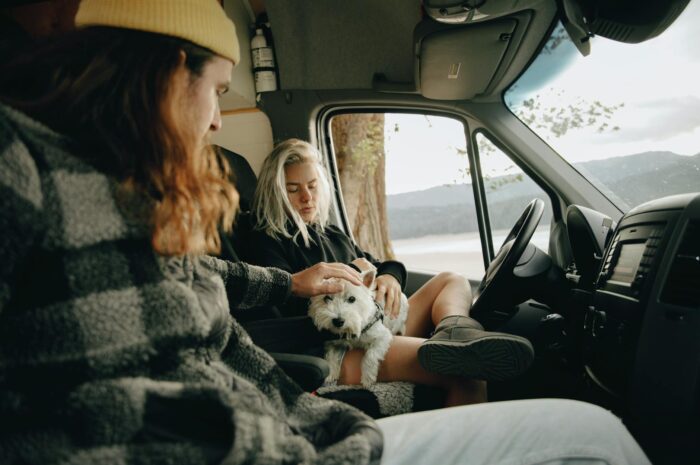 Alternatives To Pet Insurance